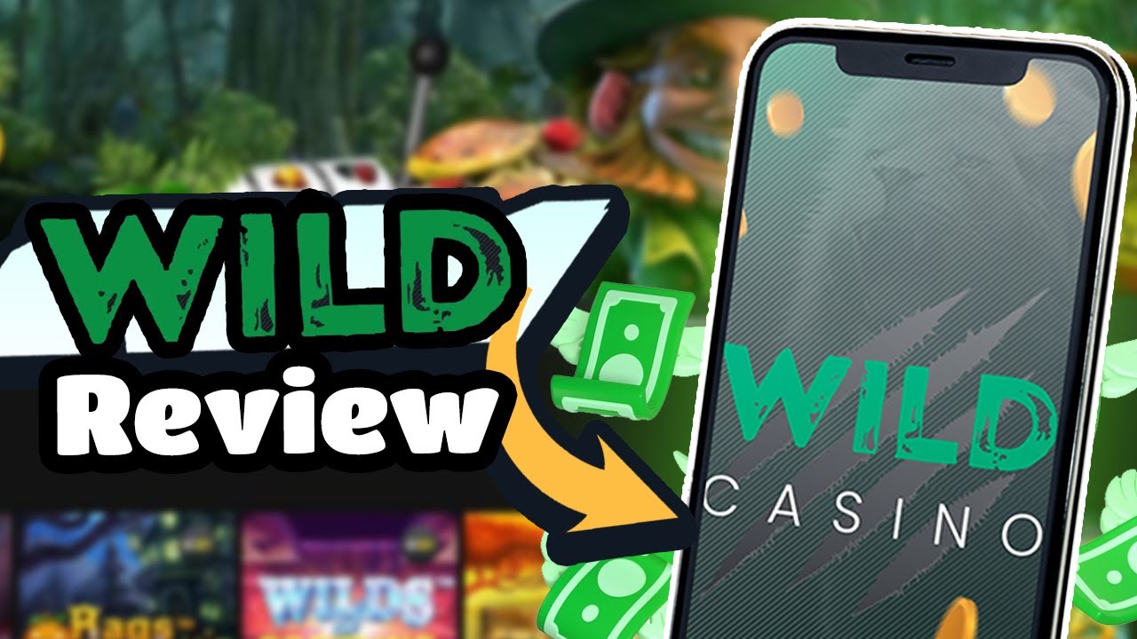 Full Review of Wild Casino